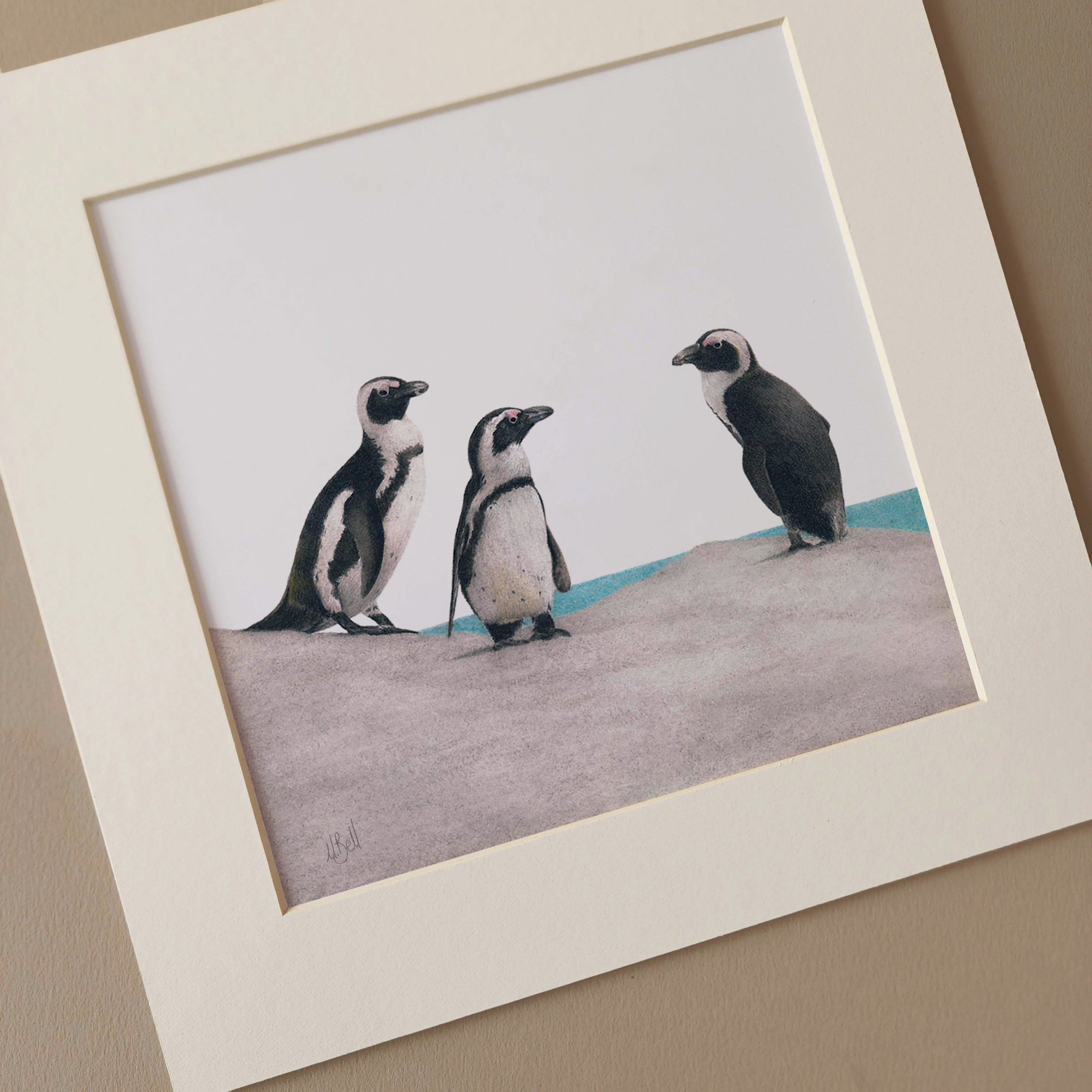 African Penguins at Boulders Beach original pencil art by South African wildlife artist Matthew Bell