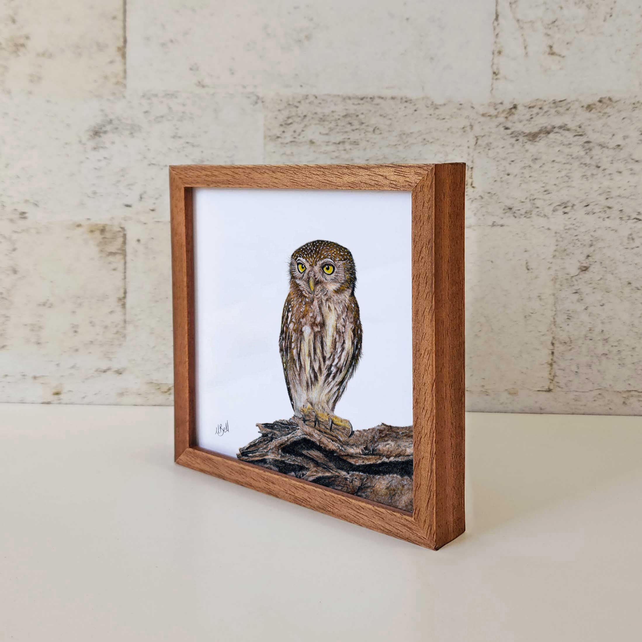 Kiaat wood framed miniature artwork of a Pearl Spotted Owlet, part of wildlife artist Matthew Bell's birds of South Africa gallery