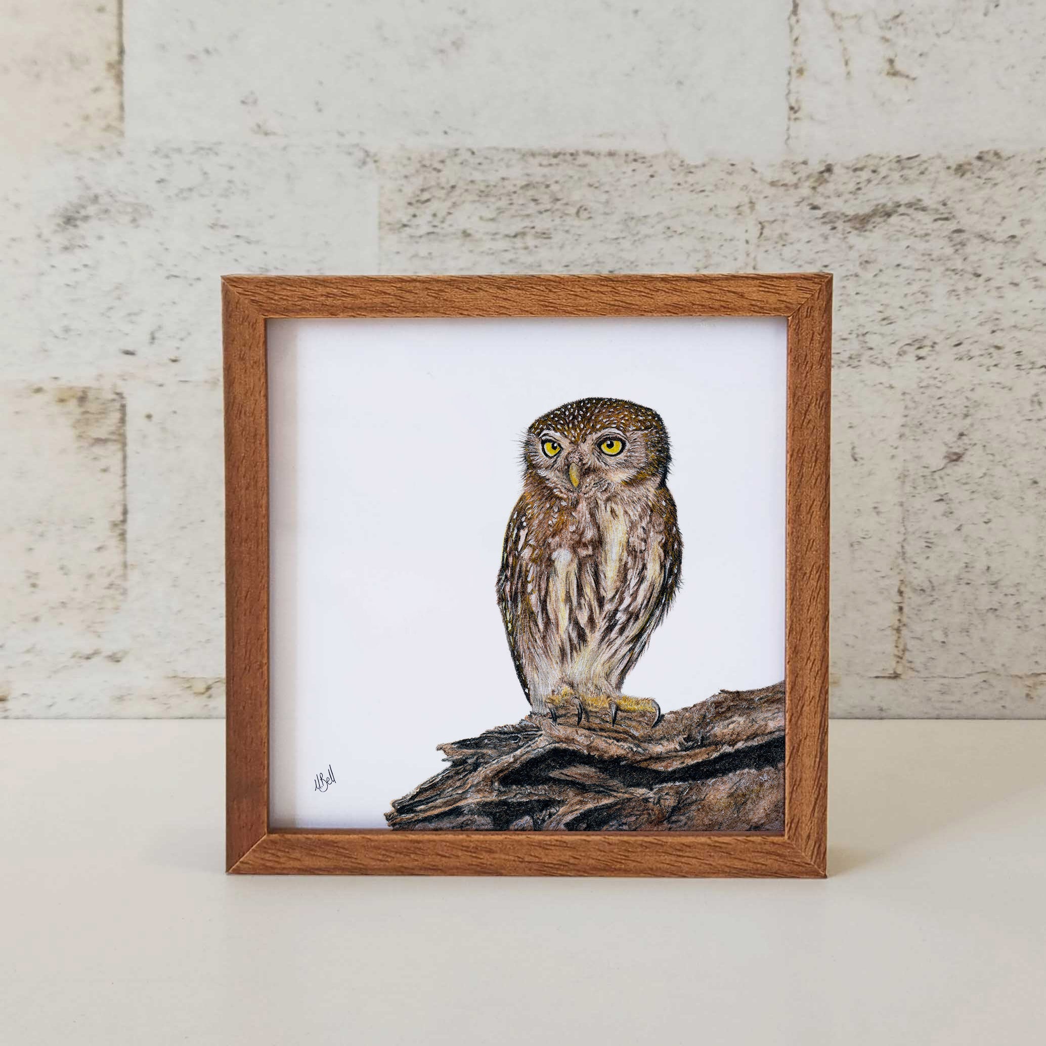 Kiaat wood framed miniature artwork of a Pearl Spotted Owlet, part of wildlife artist Matthew Bell's birds of South Africa gallery