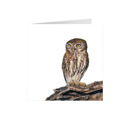 Pearl Spotted Owlet Greeting Card - PSO
