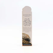 Pangolin Wooden Bookmark