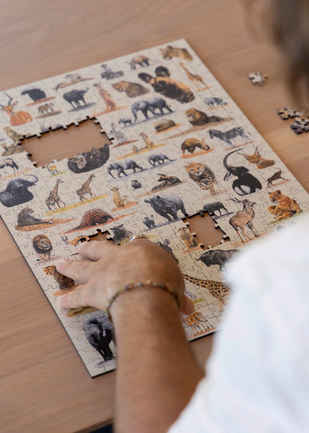 Matthew's South African Wildlife wooden puzzle is a tribute to the abundant variety of animals found in South Africa. It is the sequel to his first puzzle - Birds of South Africa, and features 62 of his original pencil drawings, beautifully arranged to create this luxury wooden puzzle.

Available in A2 size (1000pcs) and A1 size (2000pcs)
Made from 3mm thick wood
62 different animal drawings
Supplied with an A4 reference image
Beautifully made and packaged by MasterPiece Puzzles