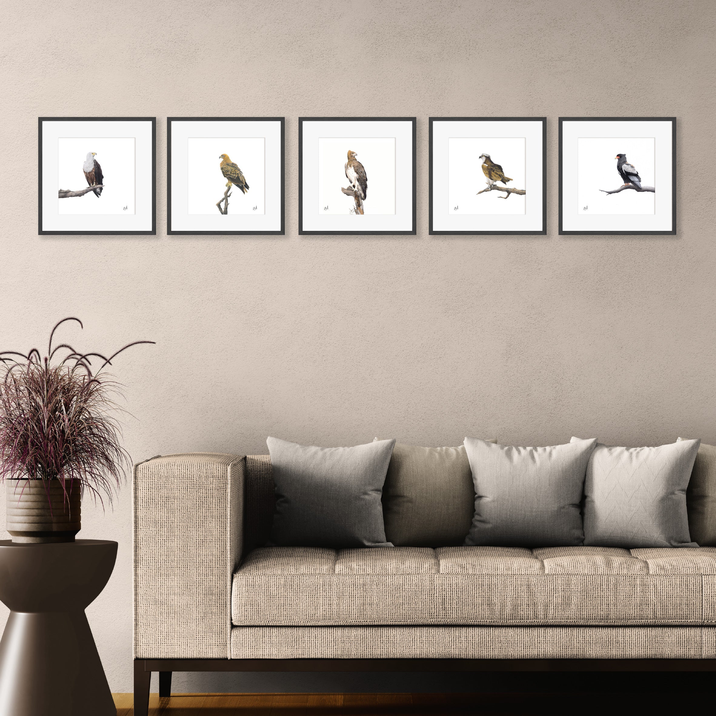 Gallery Wall - Five Birds of Prey