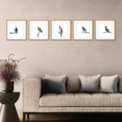 Gallery Wall - Five Birds of Prey