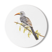 Red Billed Hornbill Wooden Coaster - RBH