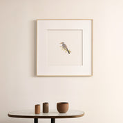 Red Billed Hornbill - The Original