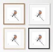 Red Backed Shrike - RBS