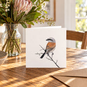 Red Backed Shrike Greeting Card - RBS