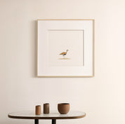 Red Crested Korhaan - The Original