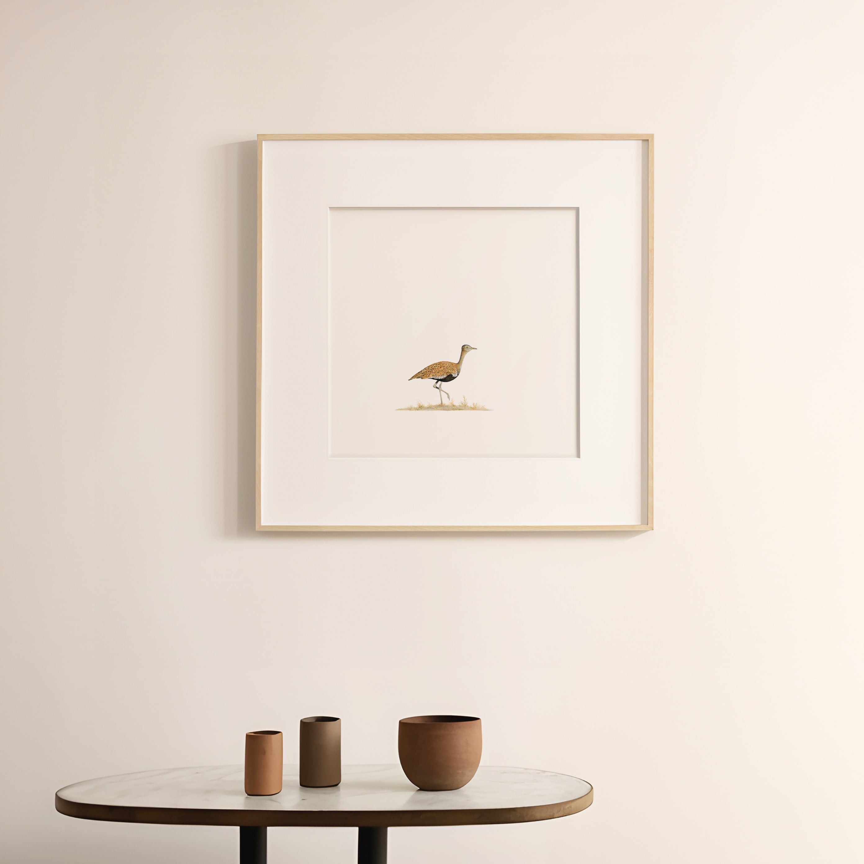 Red Crested Korhaan - The Original