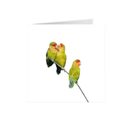 Rosy Faced Lovebirds Greeting Card - RFL