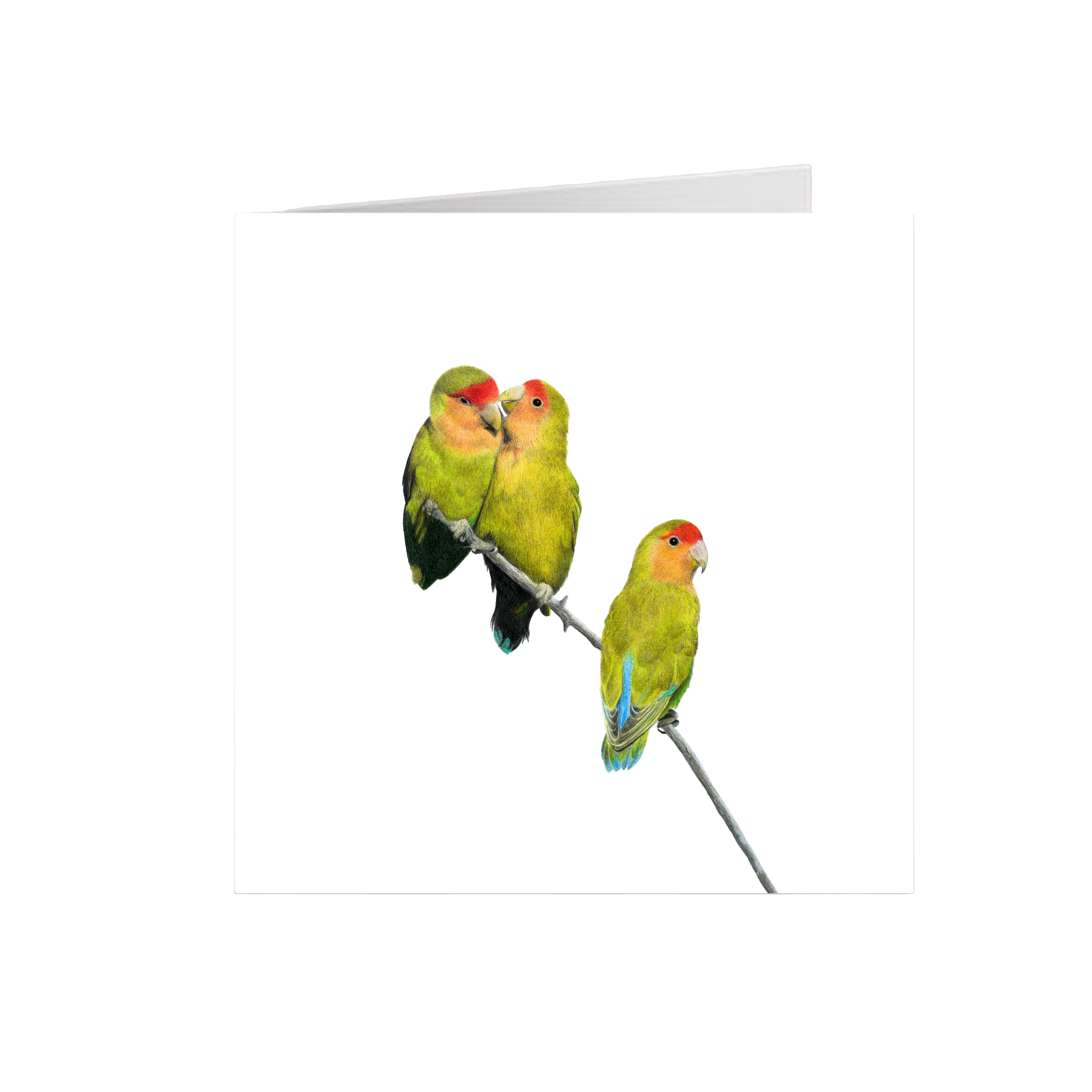 Rosy Faced Lovebirds Greeting Card - RFL