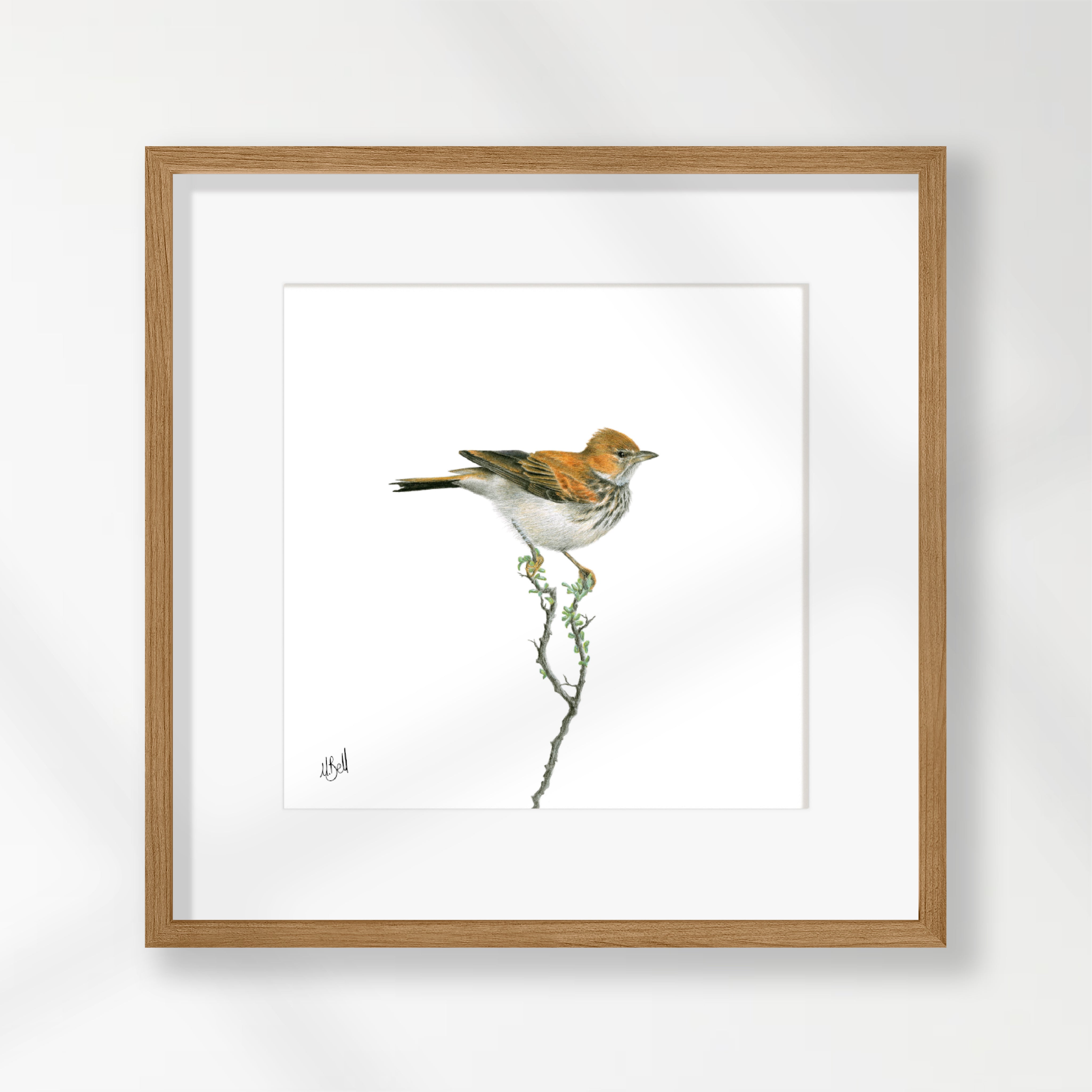 Red Lark - RLK