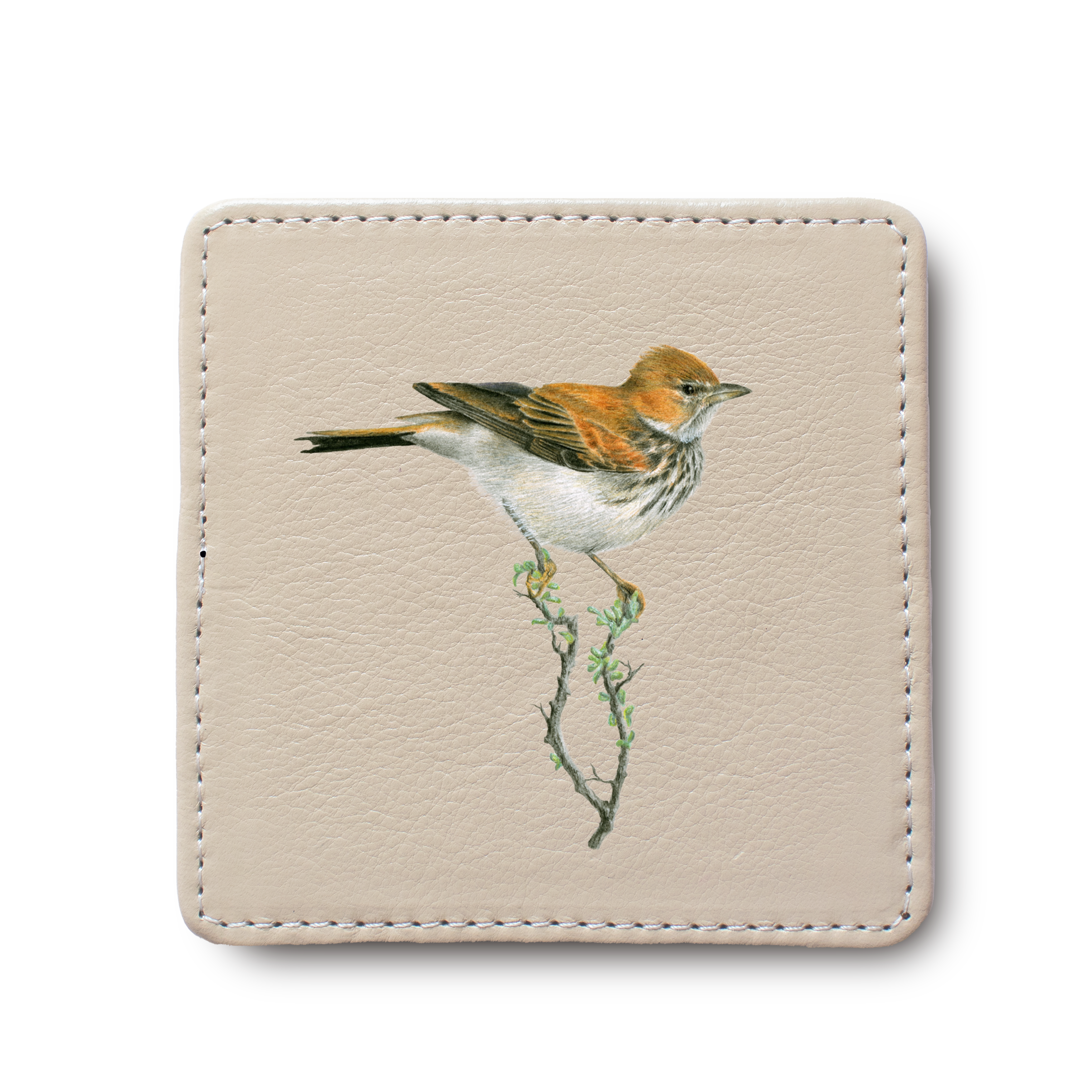 Red Lark Bird leather coaster by South African wildlife artist Matthew Bell