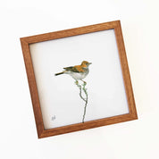 Red Lark - RLK