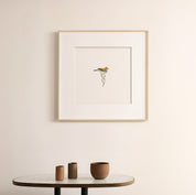 Red Lark - The Original