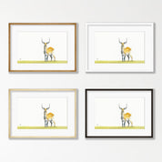 Red Lechwe - RL