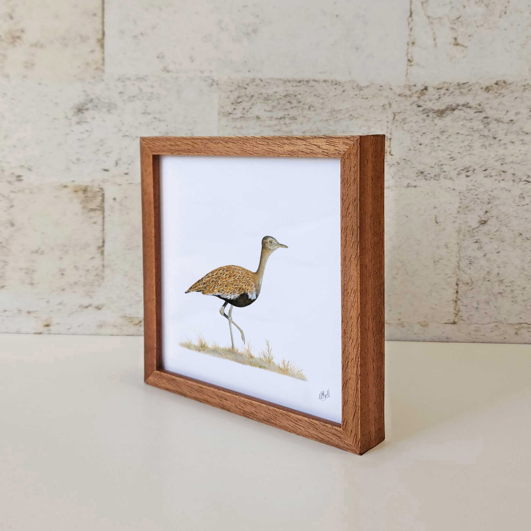Red Crested Korhaan artwork in kiaat frame