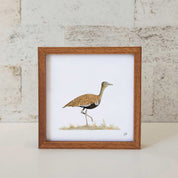 Red Crested Korhaan artwork in kiaat frame
