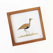 Red Crested Korhaan artwork in kiaat frame