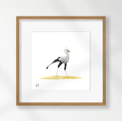 Secretarybird - SB