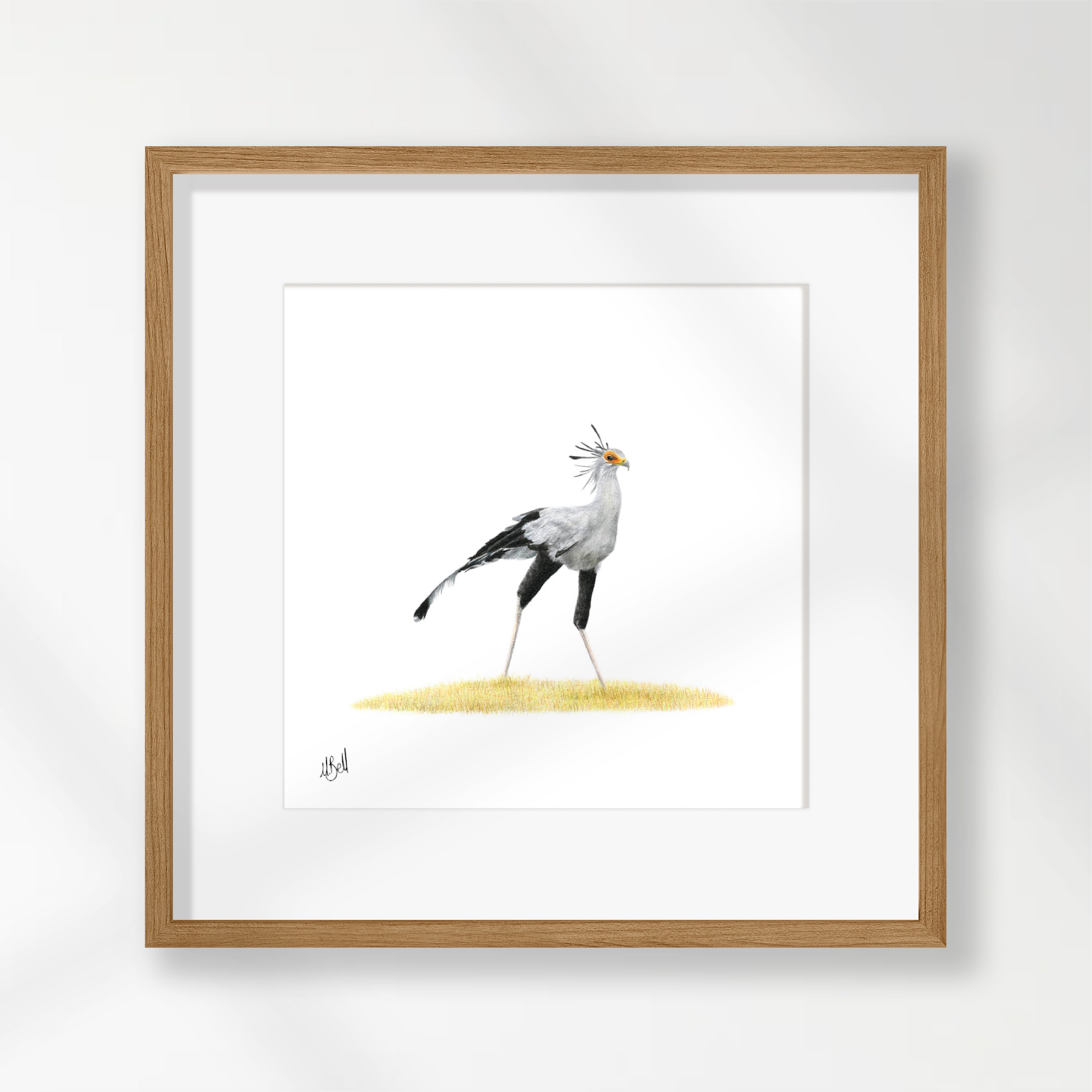 Secretarybird - SB