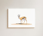 Springbok drawing on canvas by South African wildlife artist Matthew Bell