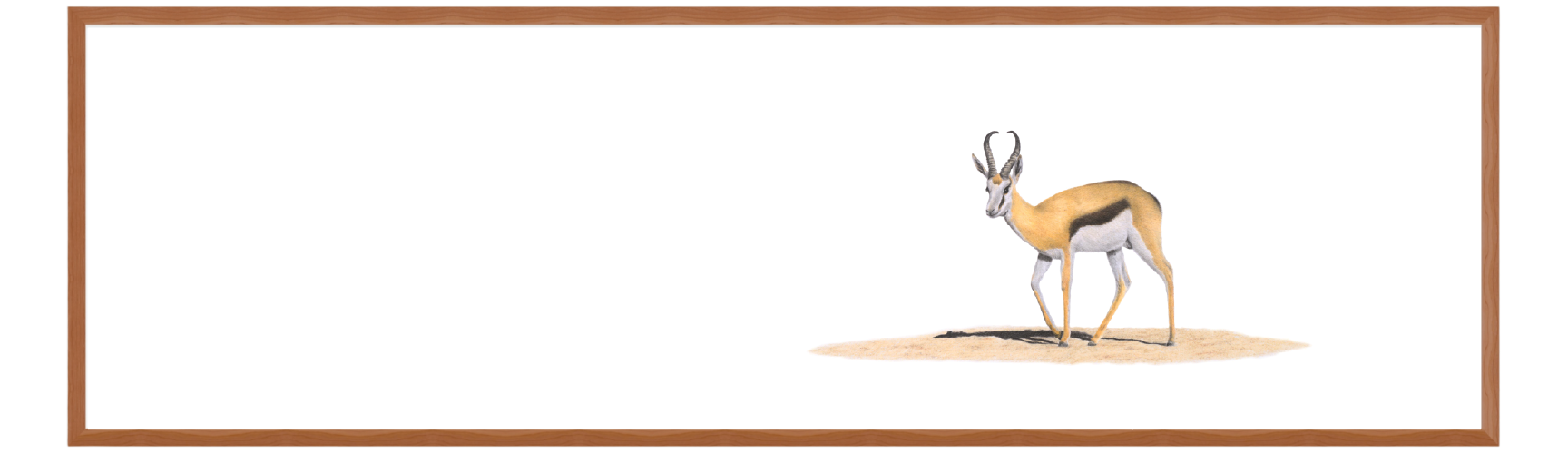 Springbok Panorama