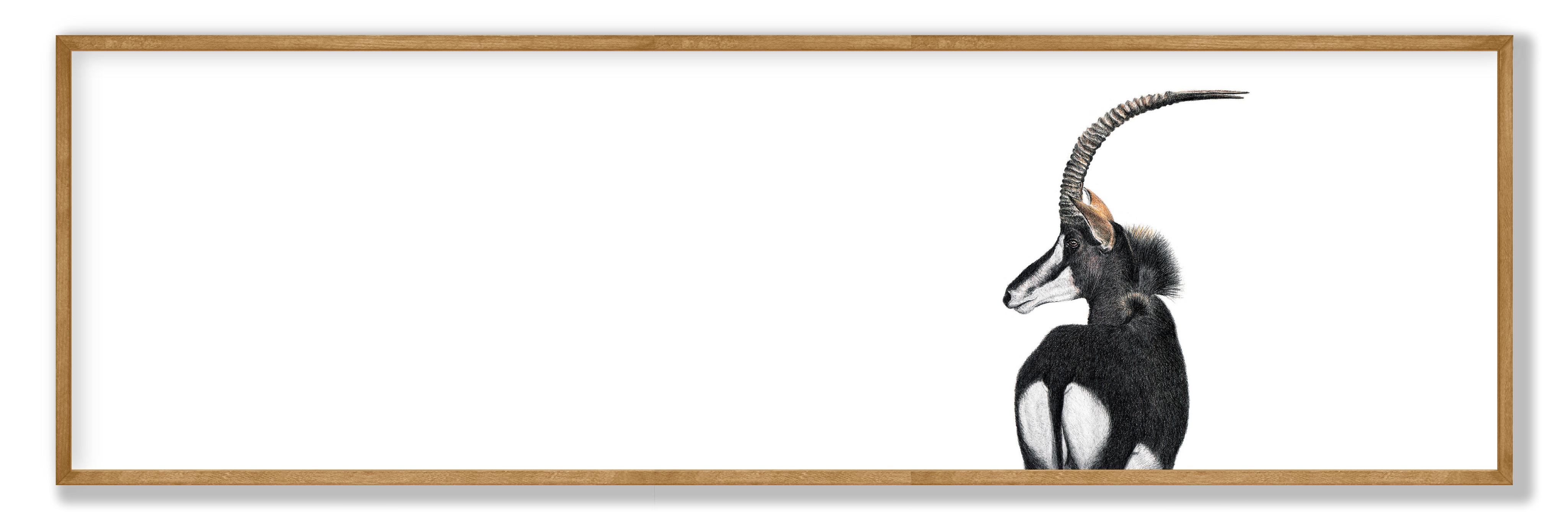 Sable Panorama