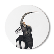 Sable Antelope Wooden Coaster - SBL1