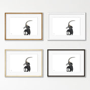 Sable Antelope - SBL1