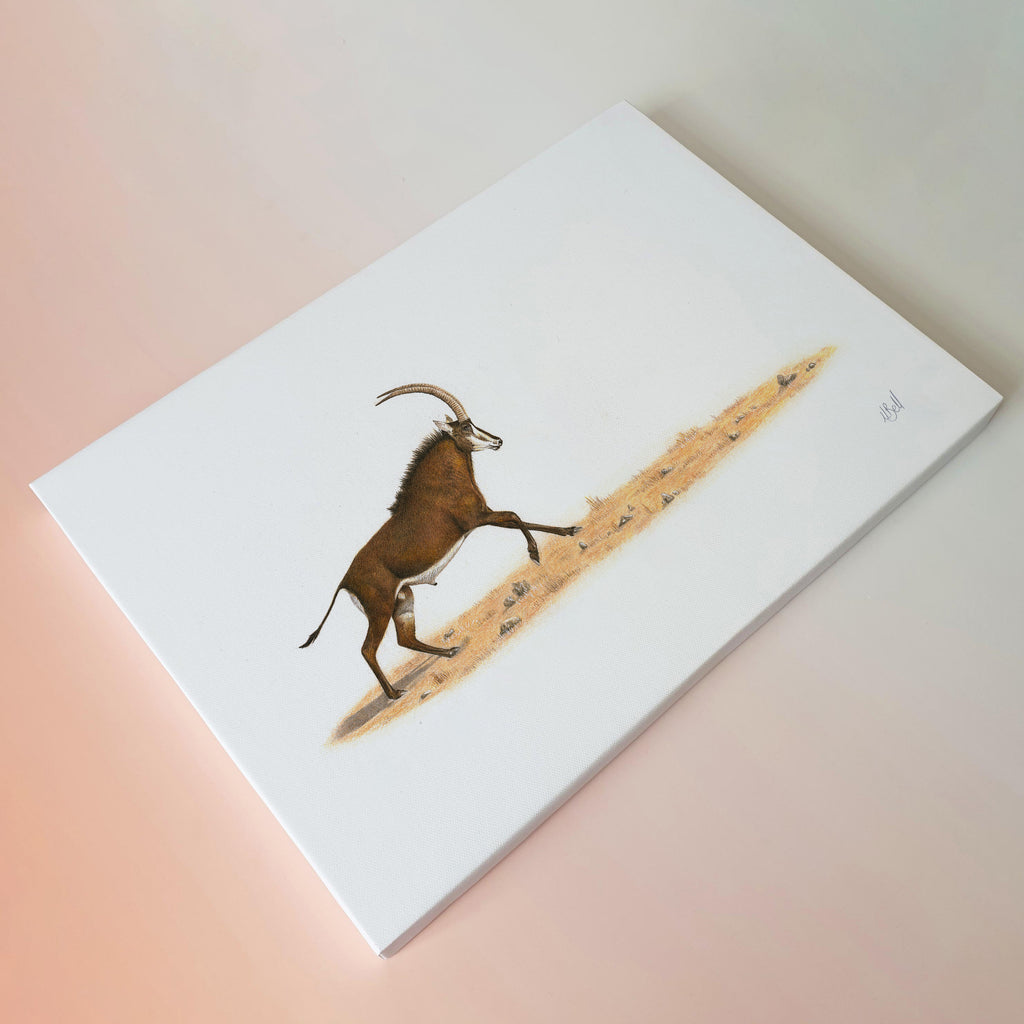 Sable Antelope stretched canvas artwork original drawing