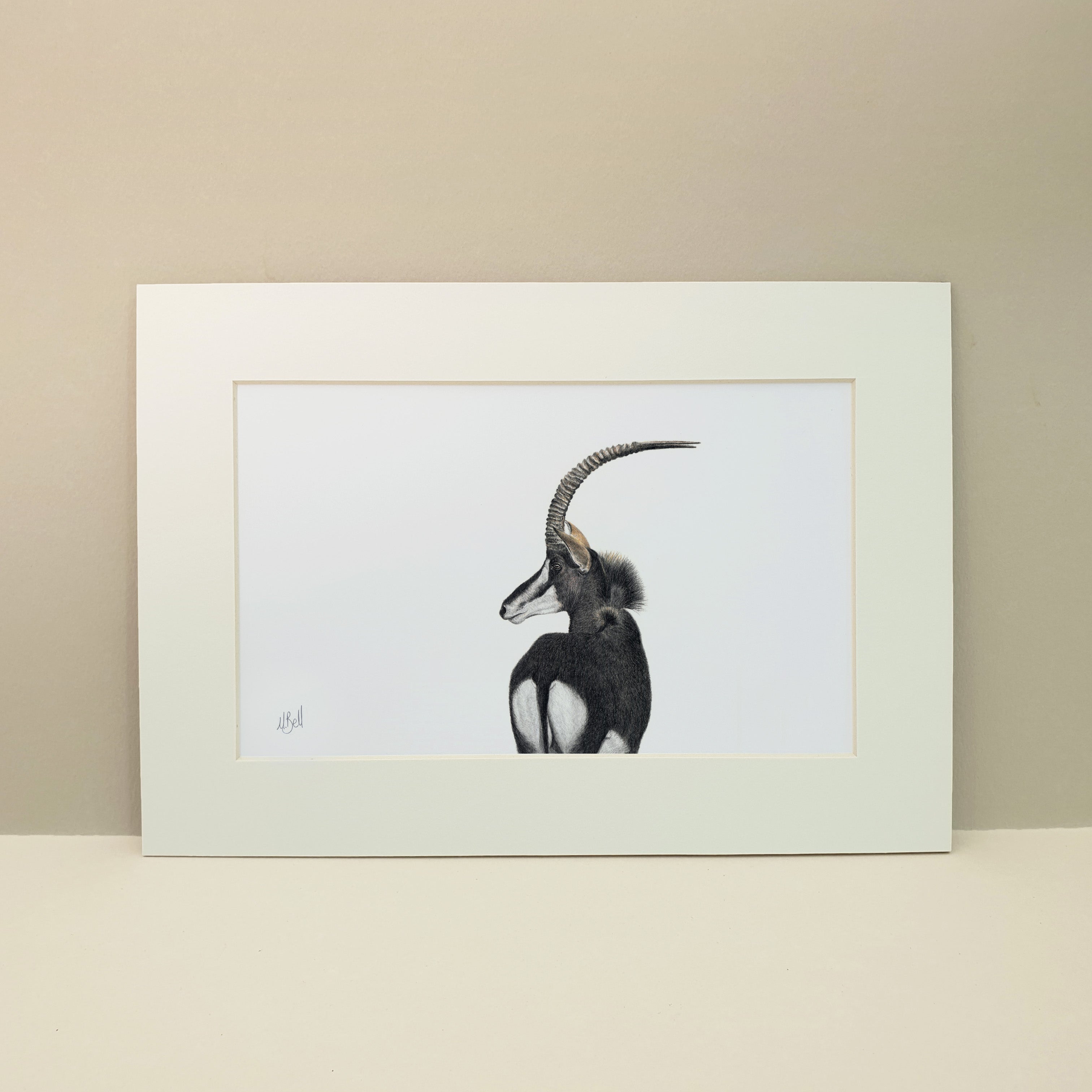 Sable Antelope in the Kruger National Park Lowveld drawing