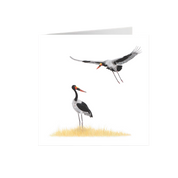 Saddle Billed Storks Greeting Card - SBS