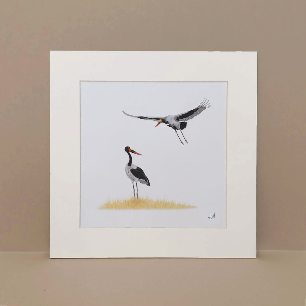 A pair of Saddle Billed Storks in Botswana's Okavango Delta artwork