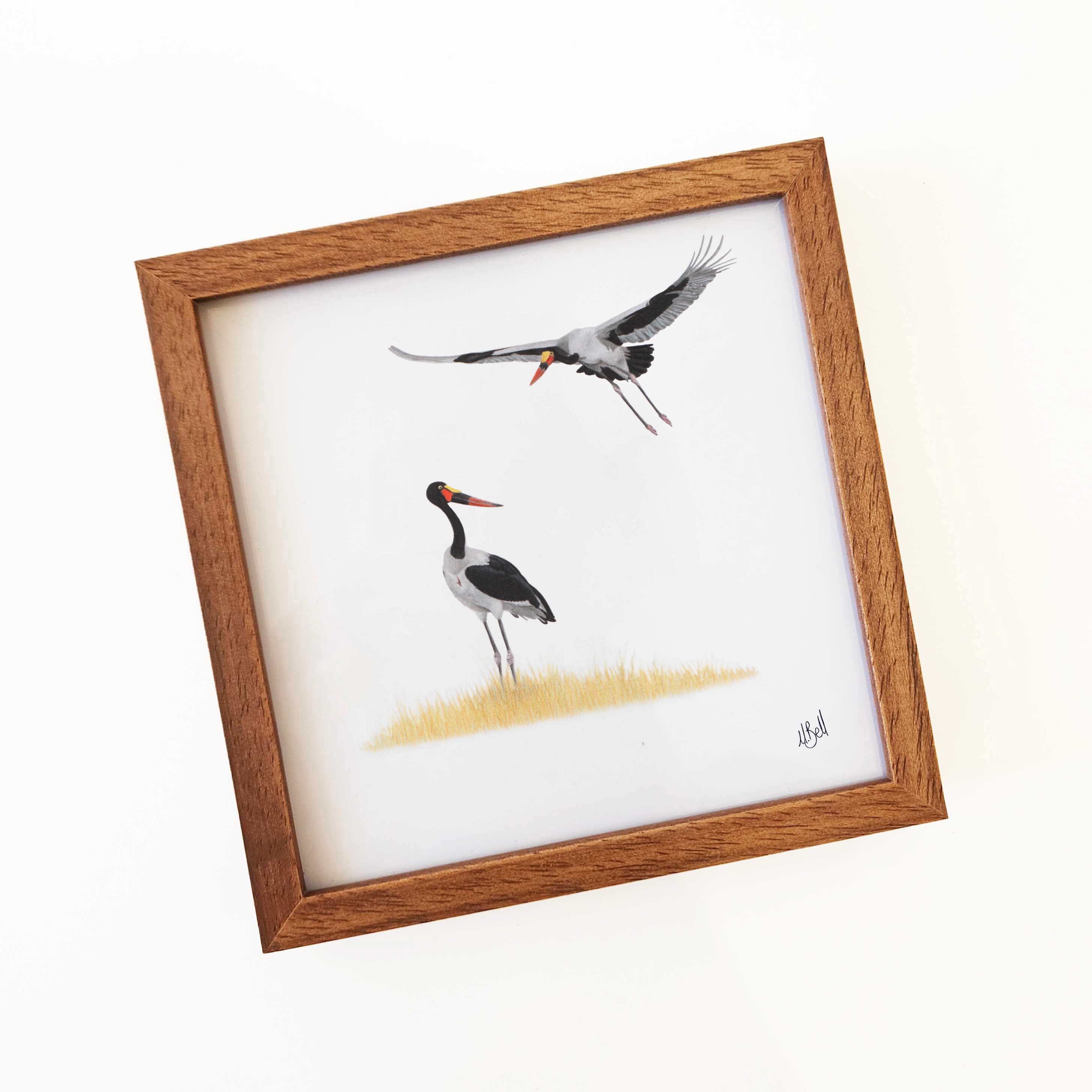 Saddle Billed Storks kiaat wood framed South African bird artwork