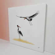 Saddle Billed Storks bird artwork printed on high quality cotton canvas by wildlife artist Matthew Bell