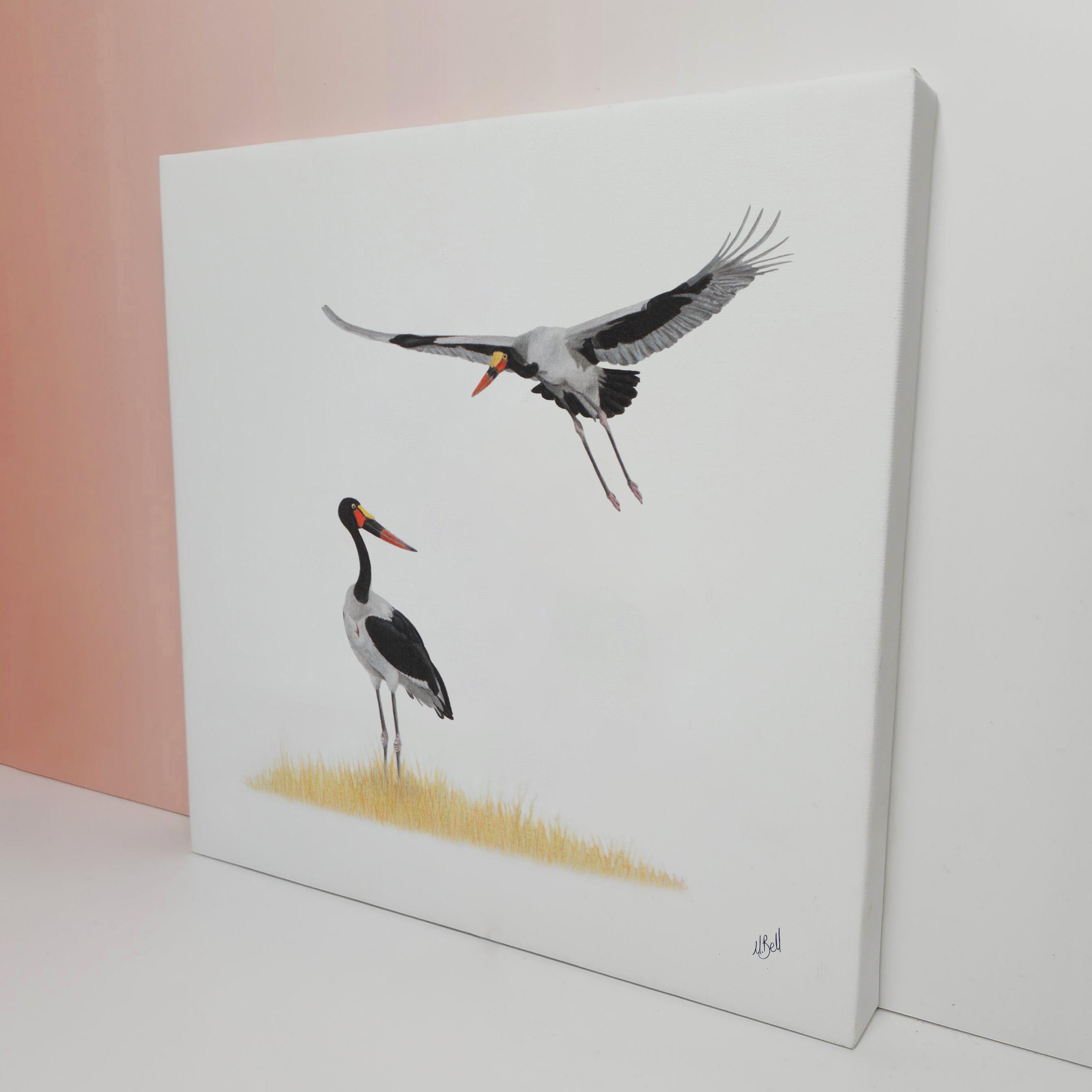 Saddle Billed Storks bird artwork printed on high quality cotton canvas by wildlife artist Matthew Bell