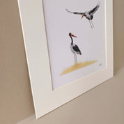 A pair of Saddle Billed Storks in Botswana's Okavango Delta artwork