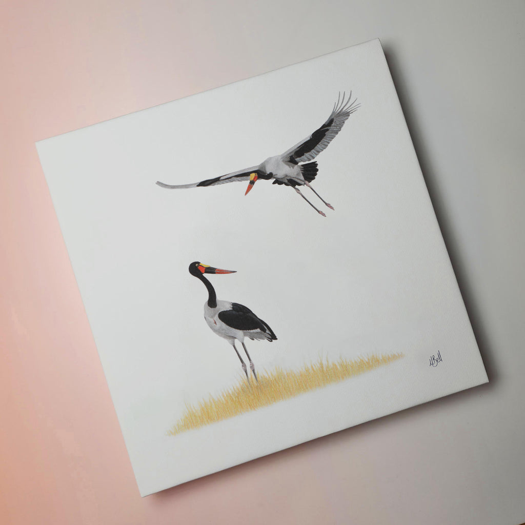 Saddle Billed Storks bird artwork printed on high quality cotton canvas by wildlife artist Matthew Bell