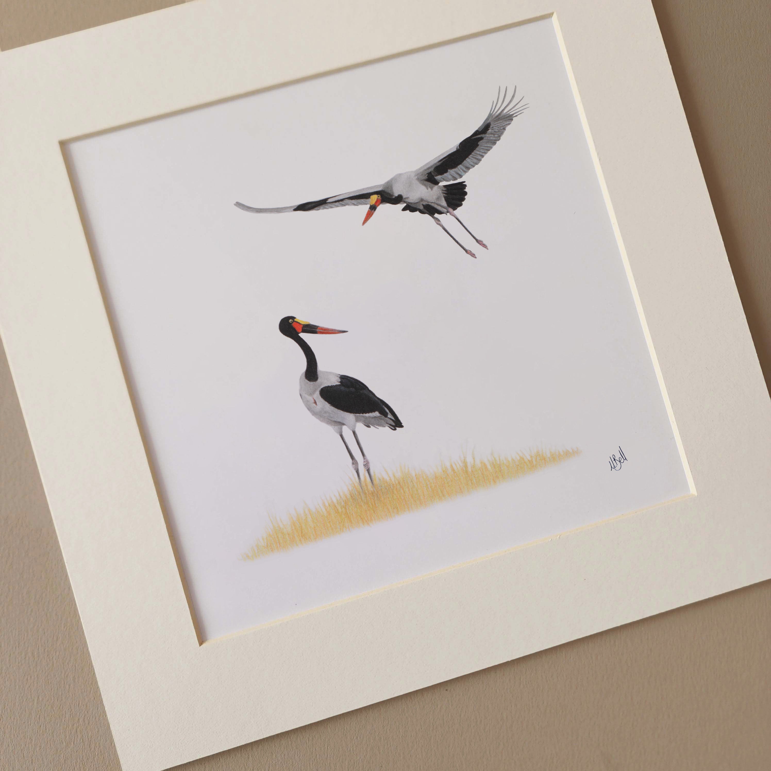 A pair of Saddle Billed Storks in Botswana's Okavango Delta artwork