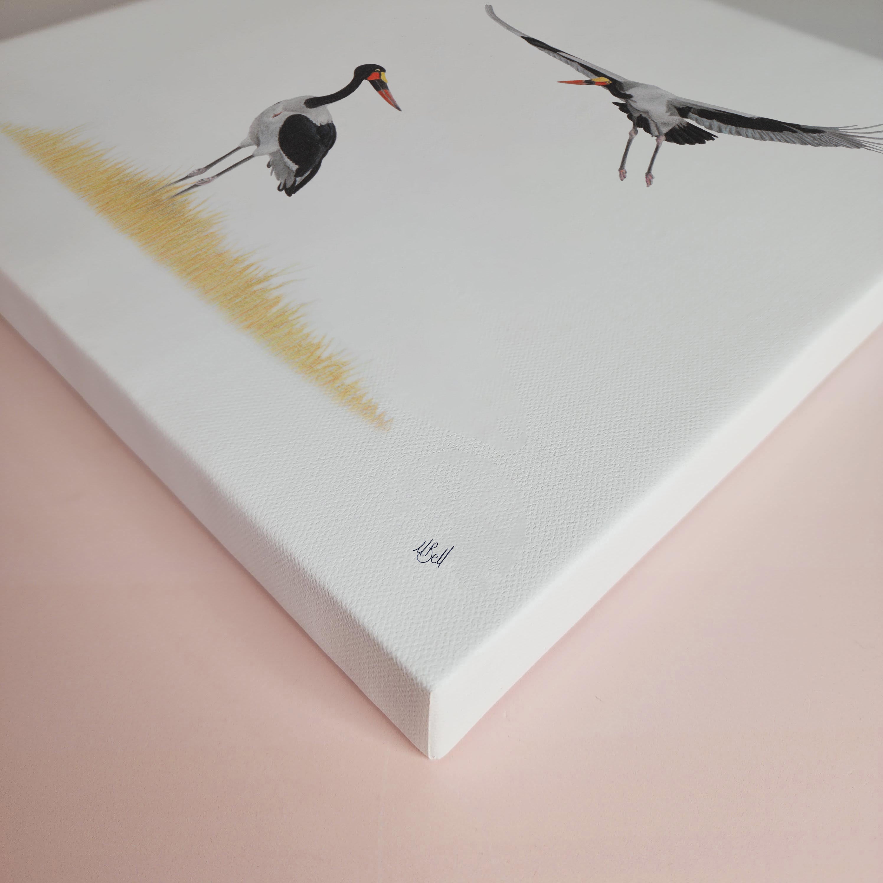 Saddle Billed Storks bird artwork printed on high quality cotton canvas by wildlife artist Matthew Bell