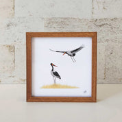 Saddle Billed Storks kiaat wood framed South African bird artwork