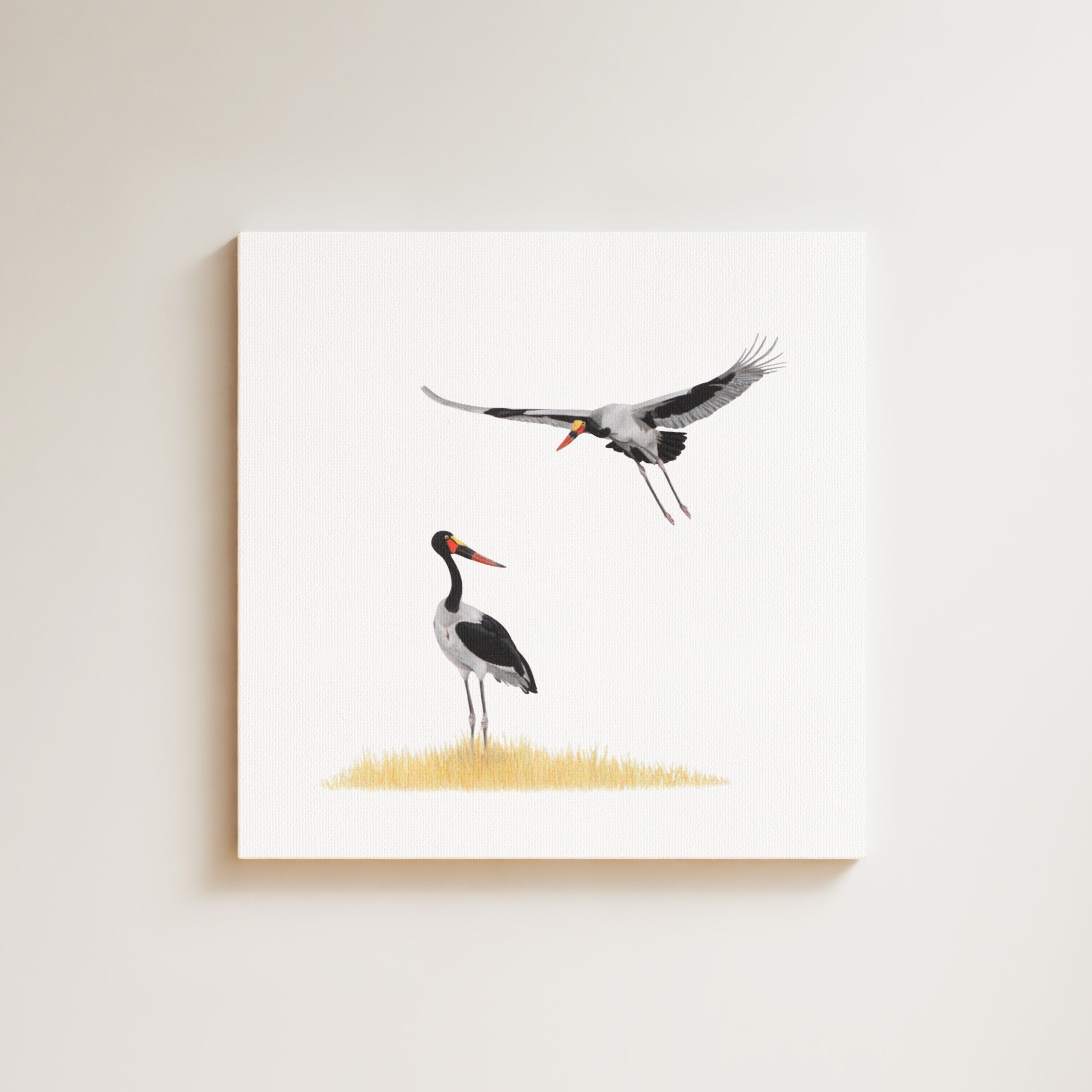 Saddle Billed Storks drawing on canvas by South African wildlife artist Matthew Bell