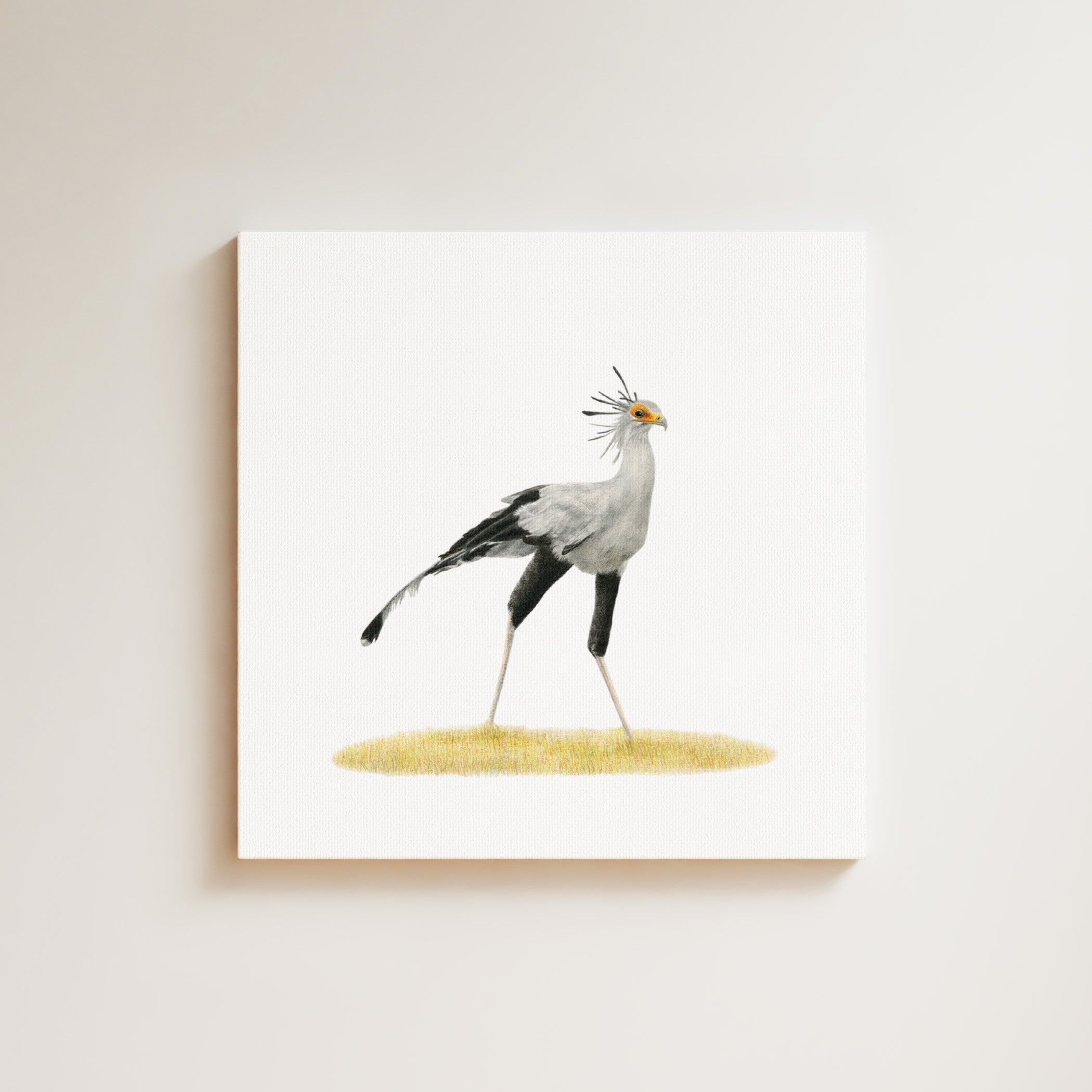 Secretarybird drawing on canvas by South African wildlife artist Matthew Bell