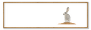 Scrub Hare Panorama