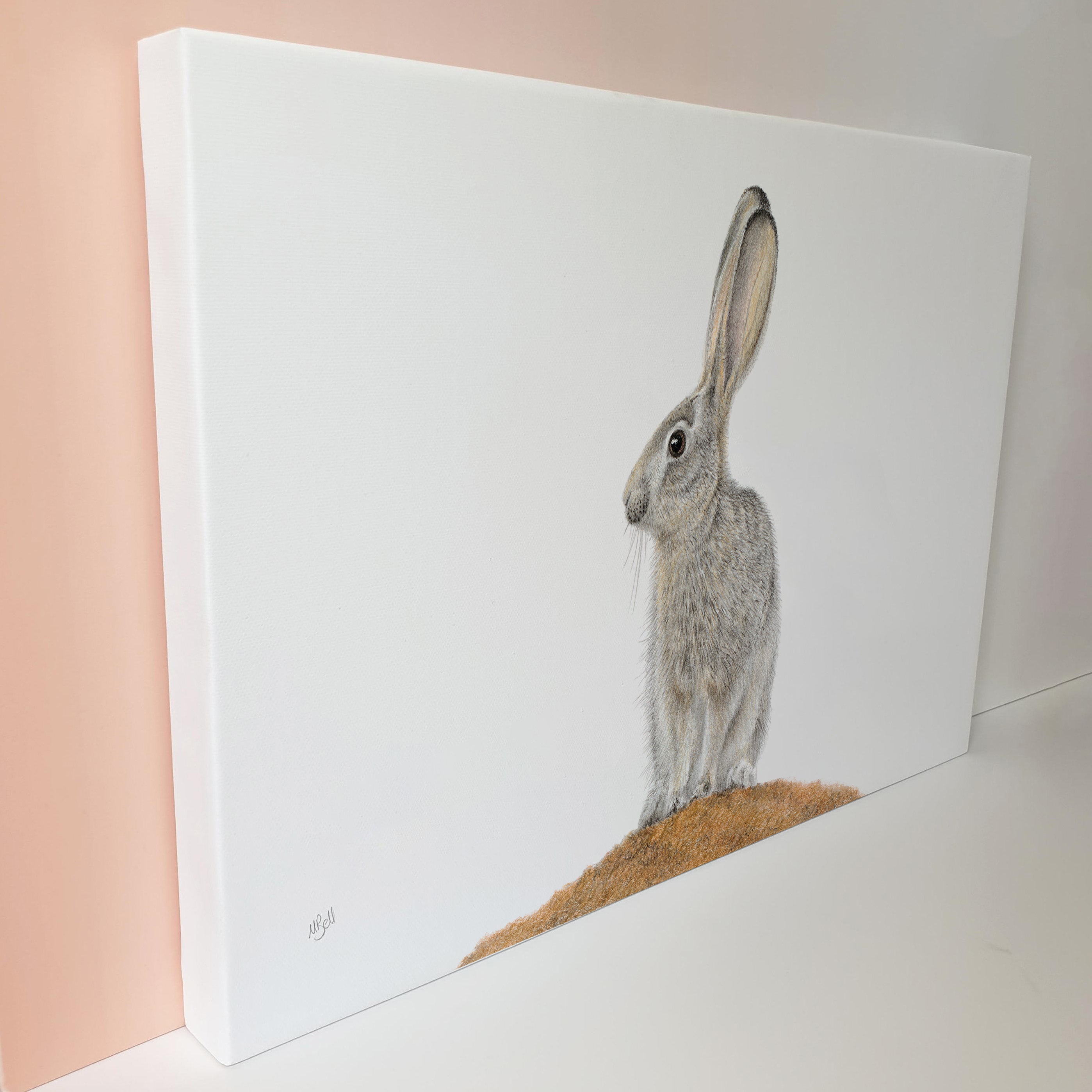 Scrub Hare African wildlife artwork on canvas