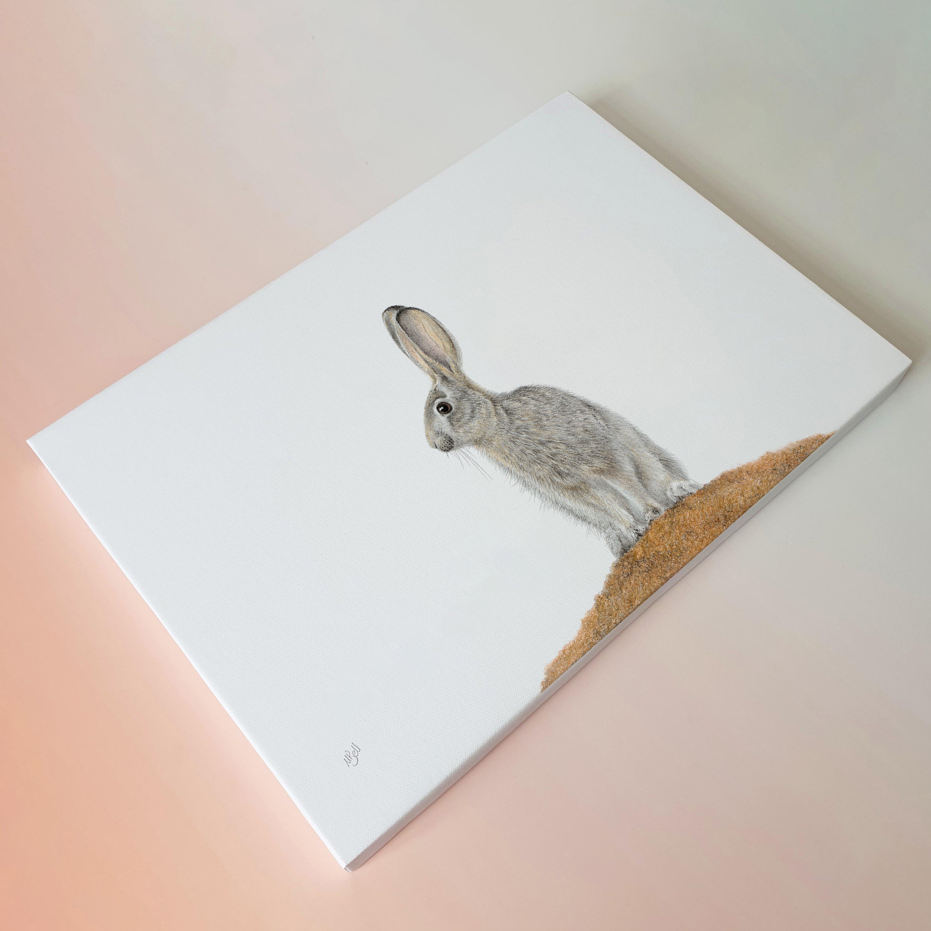 Scrub Hare African wildlife artwork on canvas