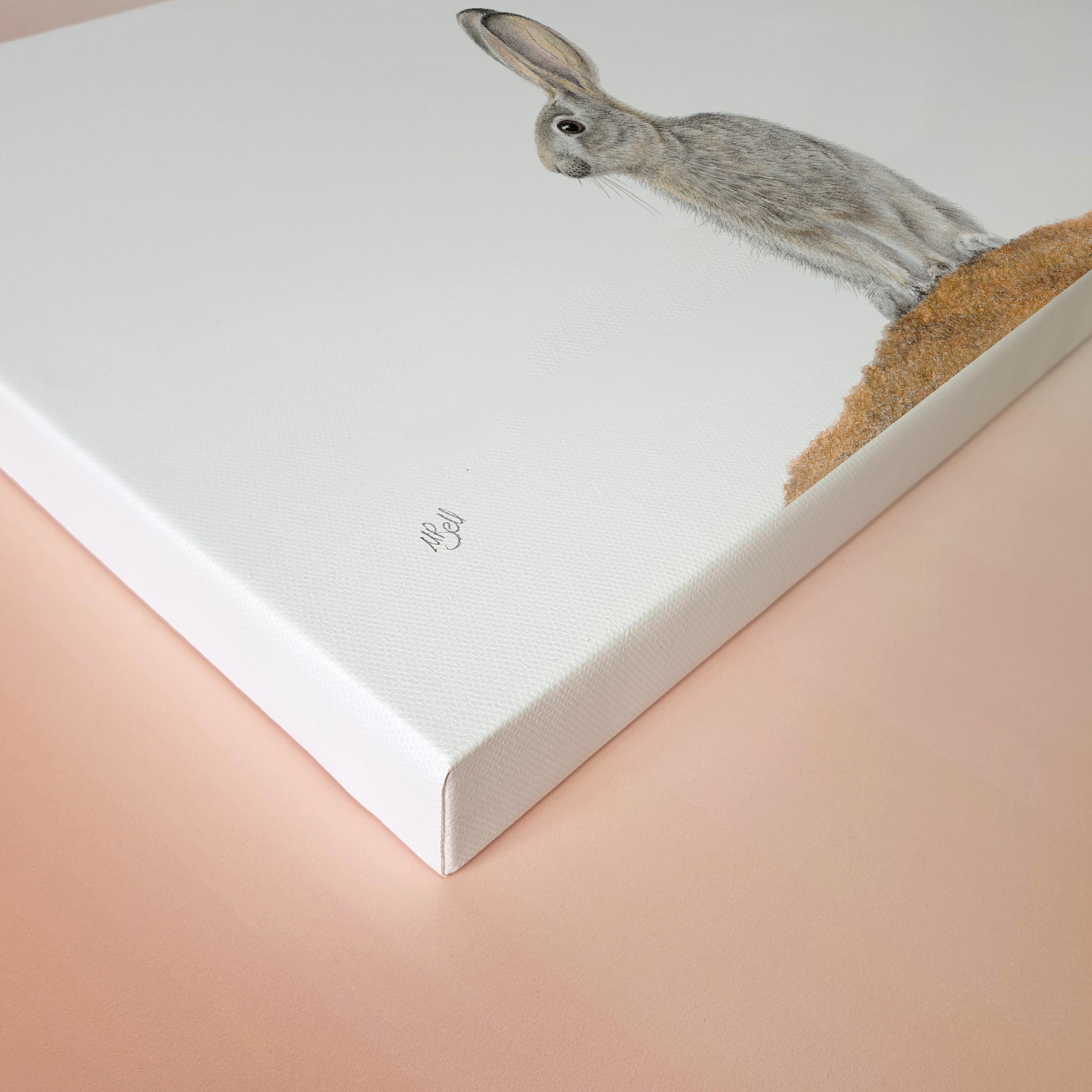 Scrub Hare African wildlife artwork on canvas