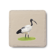African Sacred Ibis Bird leather coaster by South African wildlife artist Matthew Bell